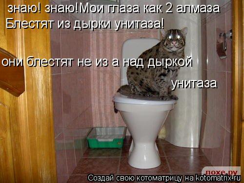знаю! знаю!Мои глаза как 2 алмаза Блестят из дырки унитаза! они блестят не из а над дыркой унитаза... Котоматрица: знаю! знаю!Мои глаза как 2 алмаза Блестят из дырки унитаза! они блестят не из а над дыркой унитаза