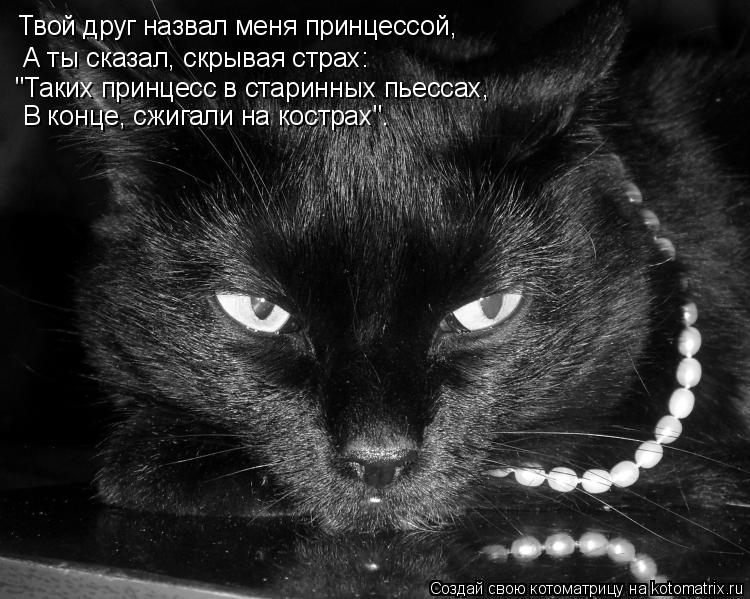 Твой друг назвал меня принцессой, А ты сказал, скрывая страх: "Таких принцесс в старинных пьессах, В ... Котоматрица: Твой друг назвал меня принцессой, А ты сказал, скрывая страх: "Таких принцесс в старинных пьессах, В конце, сжигали на кострах".