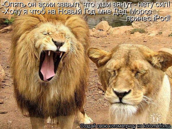 -Опять он арии завыл, что уши вянут - нету сил! -Хочу я чтоб на Новый Год мне Дед Мороз принес iPod!... Котоматрица: -Опять он арии завыл, что уши вянут - нету сил! -Хочу я чтоб на Новый Год мне Дед Мороз принес iPod!