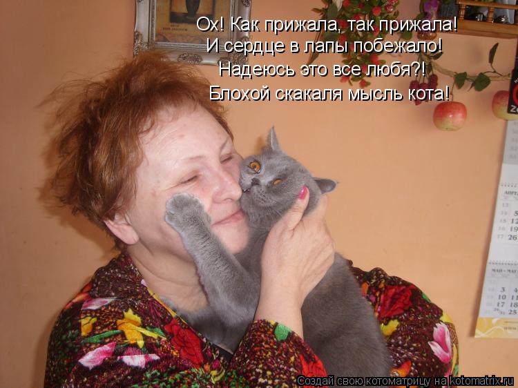 Ох! Как прижала, так прижала! И сердце в лапы побежало! Надеюсь это все любя?! Блохой скакаля мысль к... Котоматрица: Ох! Как прижала, так прижала! И сердце в лапы побежало! Надеюсь это все любя?! Блохой скакаля мысль кота!