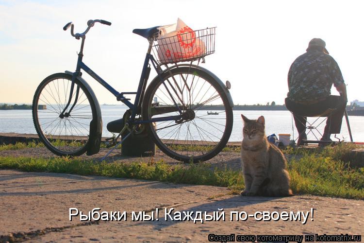 Рыбаки мы! Каждый по-своему!... Котоматрица: Рыбаки мы! Каждый по-своему!