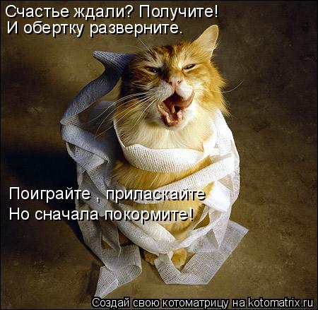 Счастье ждали? Получите! И обертку разверните. Поиграйте , приласкайте Но сначала покормите!... Котоматрица: Счастье ждали? Получите! И обертку разверните. Поиграйте , приласкайте Но сначала покормите!