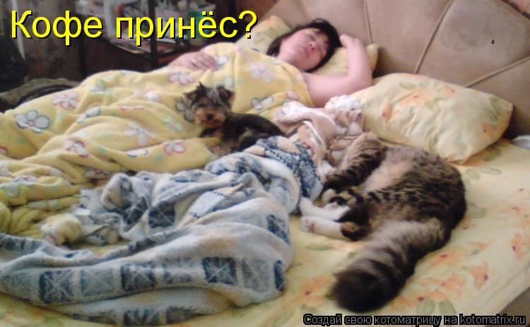Кофе принёс?... Котоматрица: Кофе принёс?