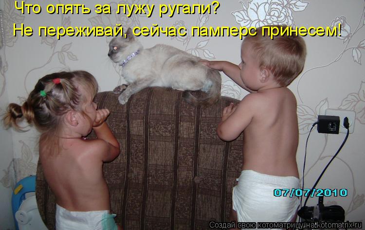 Котоматрица: Что опять за лужу ругали? Не переживай, сейчас памперс принесем!