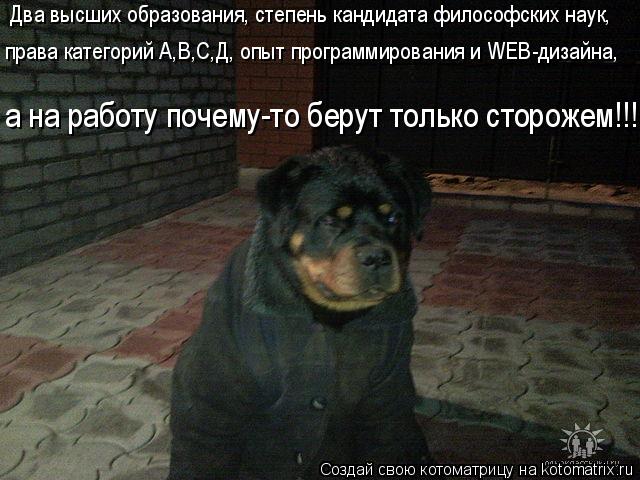 Котоматрица: Два высших образования, степень кандидата философских наук, права категорий А,В,С,Д, опыт программирования и WEB-дизайна, а на работу почему-т