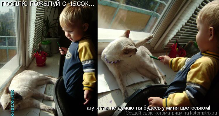 посплю пожалуй с часок... агу, я так не думаю ты будесь у миня цветоськом!... Котоматрица: посплю пожалуй с часок... агу, я так не думаю ты будесь у миня цветоськом!