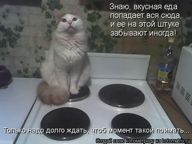 Знаю, вкусная еда попадает вся сюда, и ее на этой штуке забывают иногда! Только надо долго ждать, что... Котоматрица: Знаю, вкусная еда попадает вся сюда, и ее на этой штуке забывают иногда! Только надо долго ждать, чтоб момент такой поймать...