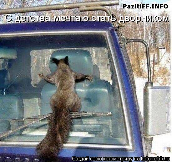 Котоматрица: С детства мечтаю стать дворником