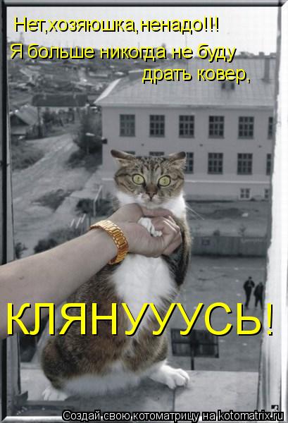 Котоматрица: Нет,хозяюшка,ненадо!!! Я больше никогда не буду драть ковер, КЛЯНУУУСЬ!