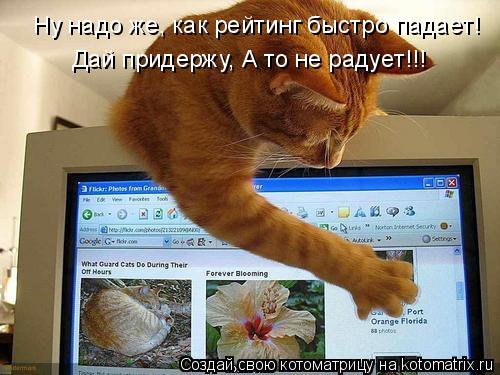 Ну надо же, как рейтинг быстро падает! Дай придержу, А то не радует!!!... Котоматрица: Ну надо же, как рейтинг быстро падает! Дай придержу, А то не радует!!!