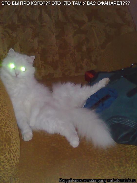 Котоматрица: ЭТО ВЫ ПРО КОГО??? ЭТО КТО ТАМ У ВАС ОФАНАРЕЛ???
