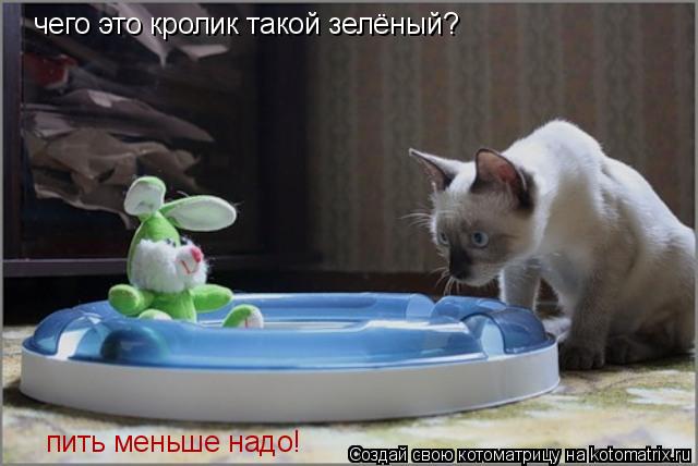 Котоматрица: чего это кролик такой зелёный? чего это кролик такой зелёный? чего это кролик такой зелёный? пить меньше надо!