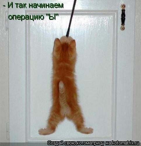 - И так начинаем операцию "Ы"... Котоматрица: - И так начинаем операцию "Ы"