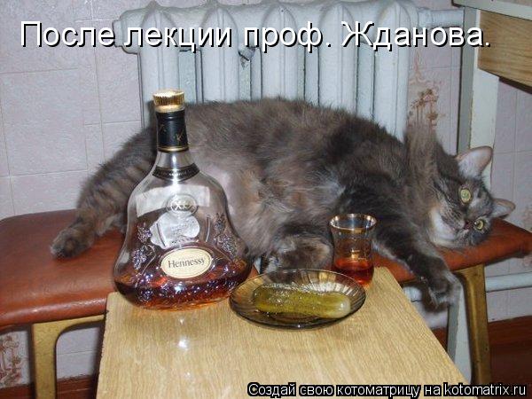 Котоматрица: После лекции проф. Жданова.
