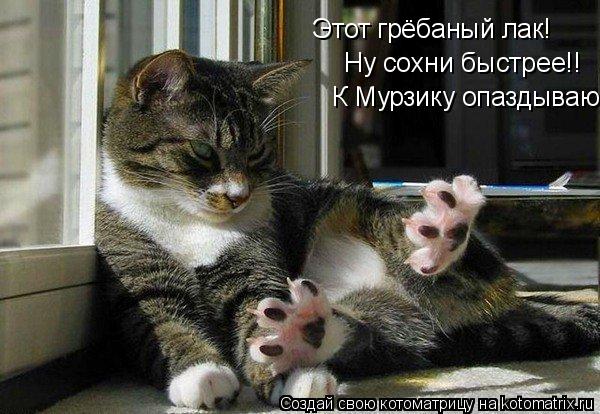 Котоматрица: Этот грёбаный лак! Ну сохни быстрее!! К Мурзику опаздываю..