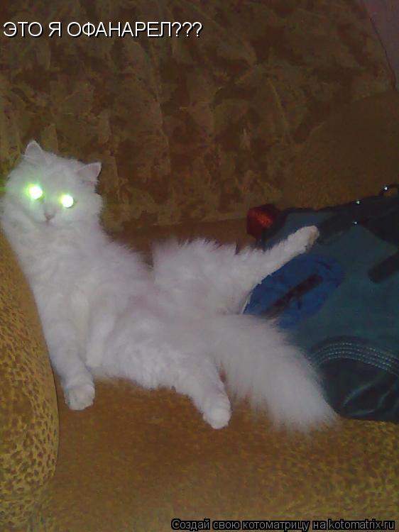 ЭТО Я ОФАНАРЕЛ???... Котоматрица: ЭТО Я ОФАНАРЕЛ???