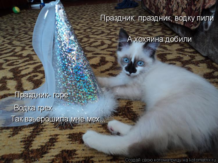 Котоматрица: А хохяина добили Праздник- горе Водка грех Праздник, праздник, водку пили Так взьерошила мне мех...