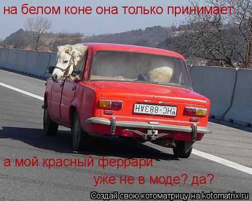 Котоматрица: на белом коне она только принимает... а мой красный феррари уже не в моде? да?