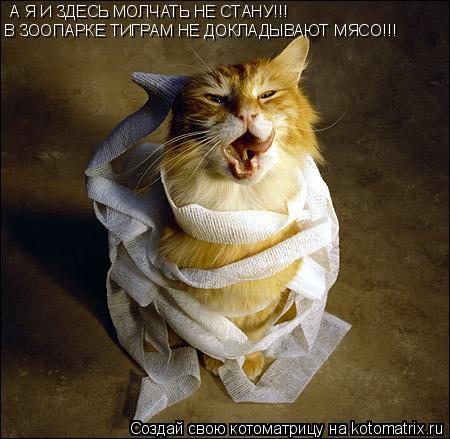 А Я И ЗДЕСЬ МОЛЧАТЬ НЕ СТАНУ!!! В ЗООПАРКЕ ТИГРАМ НЕ ДОКЛАДЫВАЮТ МЯСО!!!... Котоматрица: А Я И ЗДЕСЬ МОЛЧАТЬ НЕ СТАНУ!!! В ЗООПАРКЕ ТИГРАМ НЕ ДОКЛАДЫВАЮТ МЯСО!!!