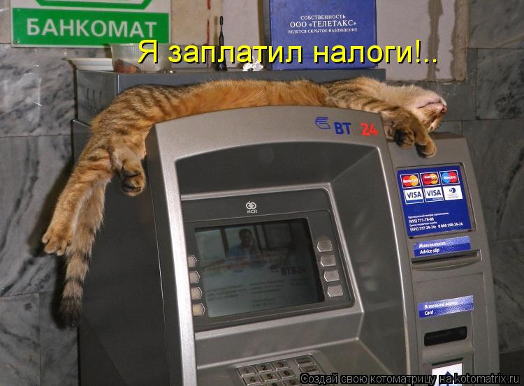 Я заплатил налоги!..... Котоматрица: Я заплатил налоги!..