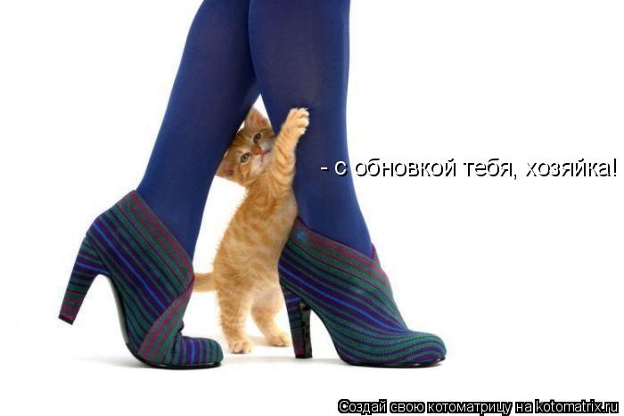 - с обновкой тебя, хозяйка!... Котоматрица: - с обновкой тебя, хозяйка!