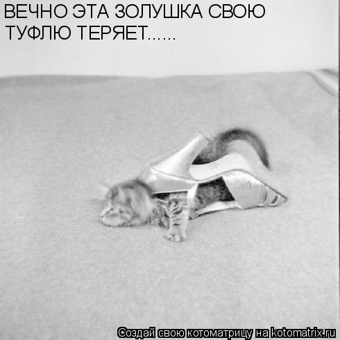 ВЕЧНО ЭТА ЗОЛУШКА СВОЮ ТУФЛЮ ТЕРЯЕТ......... Котоматрица: ВЕЧНО ЭТА ЗОЛУШКА СВОЮ ТУФЛЮ ТЕРЯЕТ......