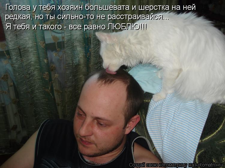Голова у тебя хозяин большевата и шерстка на ней редкая, но ты сильно-то не расстраивайся... Я тебя и... Котоматрица: Голова у тебя хозяин большевата и шерстка на ней редкая, но ты сильно-то не расстраивайся... Я тебя и такого - все равно ЛЮБЛЮ!!!
