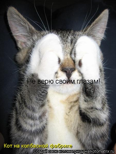 Кот на колбасной фабрике Не верю своим глазам!... Котоматрица: Кот на колбасной фабрике Не верю своим глазам!