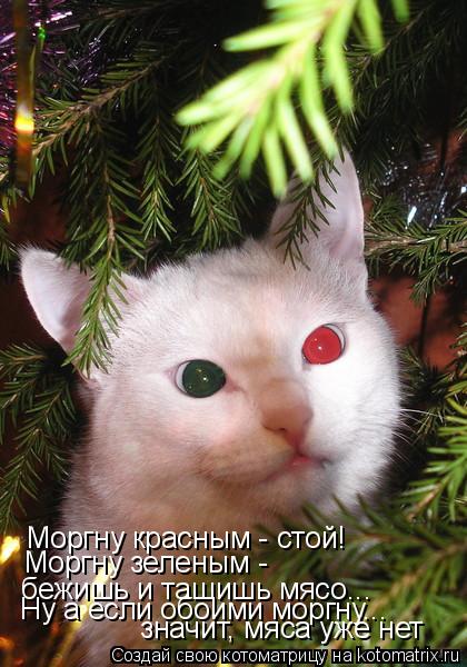 Моргну красным - стой! Моргну зеленым - бежишь и тащишь мясо... Ну а если обоими моргну... значит, мя... Котоматрица: Моргну красным - стой! Моргну зеленым - бежишь и тащишь мясо... Ну а если обоими моргну... значит, мяса уже нет