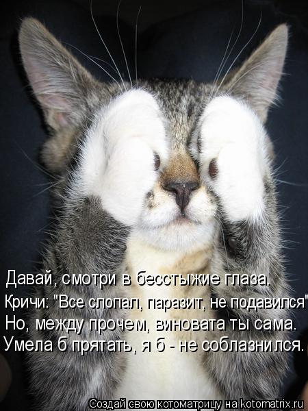 Котоматрица: Давай, смотри в бесстыжие глаза. Кричи: "Все слопал, паразит, не подавился". Но, между прочем, виновата ты сама. Умела б прятать, я б - не соблазн