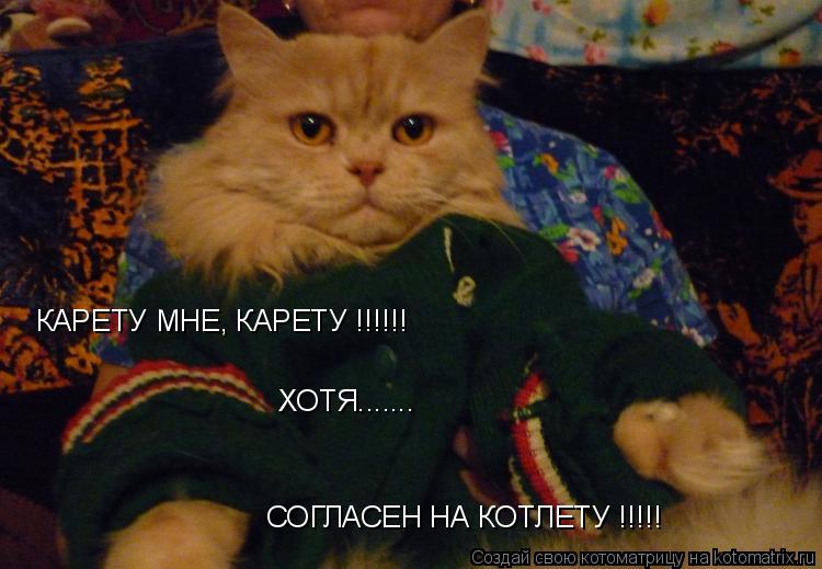 КАРЕТУ МНЕ, КАРЕТУ !!!!!! ХОТЯ....... СОГЛАСЕН НА КОТЛЕТУ !!!!!... Котоматрица: КАРЕТУ МНЕ, КАРЕТУ !!!!!! ХОТЯ....... СОГЛАСЕН НА КОТЛЕТУ !!!!!
