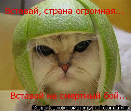 Вставй, страна огромная... Вставай, страна огромная... Вставай на смертный бой...... Котоматрица: Вставй, страна огромная... Вставай, страна огромная... Вставай на смертный бой...