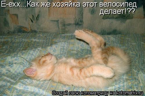 Е-ехх...Как же хозяйка этот велосипед делает!??... Котоматрица: Е-ехх...Как же хозяйка этот велосипед делает!??
