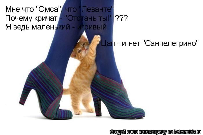 Мне что "Омса", что "Леванте" Почему кричат - "Отстань ты!" ??? Я ведь маленький - игривый Цап - и не... Котоматрица: Мне что "Омса", что "Леванте" Почему кричат - "Отстань ты!" ??? Я ведь маленький - игривый Цап - и нет "Санпелегрино"