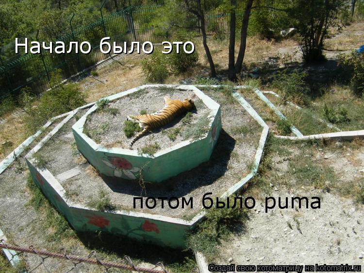 Начало было это потом было puma... Котоматрица: Начало было это потом было puma