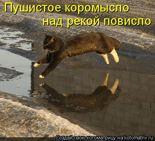 Котоматрица: Пушистое коромысло над рекой повисло