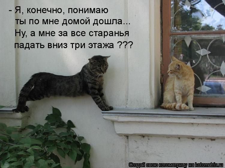 - Я, конечно, понимаю ты по мне домой дошла... Ну, а мне за все старанья падать вниз три этажа ???... Котоматрица: - Я, конечно, понимаю ты по мне домой дошла... Ну, а мне за все старанья падать вниз три этажа ???
