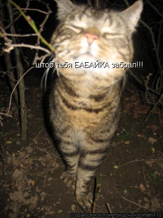 штоб тебя БАБАЙКА забрал!!!... Котоматрица: штоб тебя БАБАЙКА забрал!!!