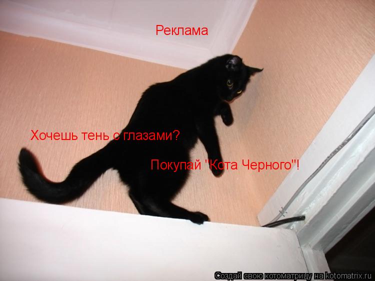 Реклама Хочешь тень с глазами? Покупай "Кота Черного"!... Котоматрица: Реклама Хочешь тень с глазами? Покупай "Кота Черного"!