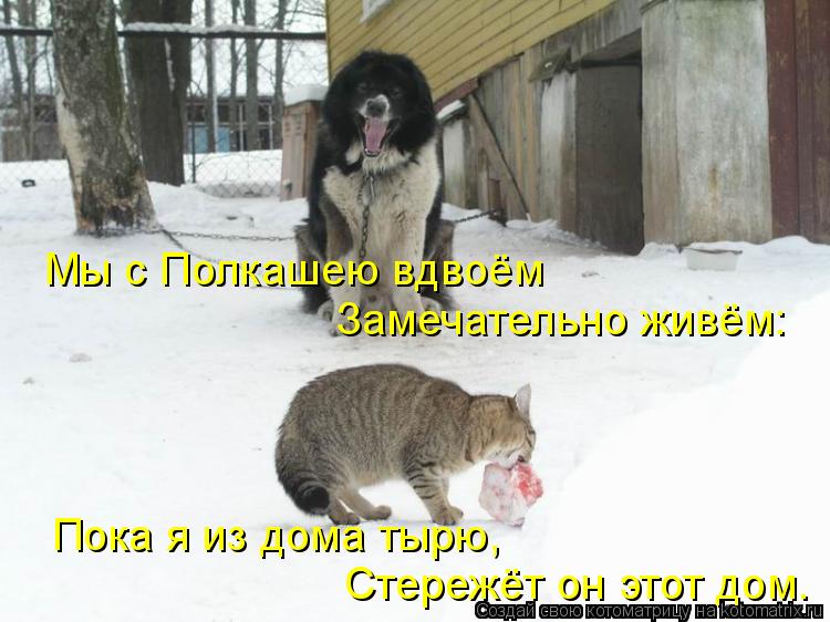 Мы с Полкашею вдвоём Замечательно живём: Пока я из дома тырю, Стережёт он этот дом.... Котоматрица: Мы с Полкашею вдвоём Замечательно живём: Пока я из дома тырю, Стережёт он этот дом.