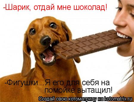 -Шарик, отдай мне шоколад! -Фигушки...Я его для себя на помойке вытащил!... Котоматрица: -Шарик, отдай мне шоколад! -Фигушки...Я его для себя на помойке вытащил!