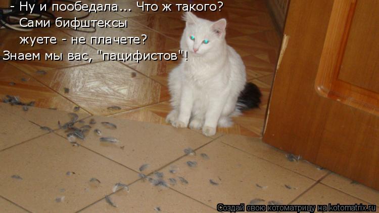 - Ну и пообедала... Что ж такого? Сами бифштексы жуете - не плачете? Знаем мы вас, "пацифистов"!... Котоматрица: - Ну и пообедала... Что ж такого? Сами бифштексы жуете - не плачете? Знаем мы вас, "пацифистов"!