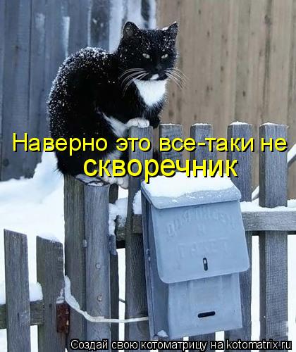 скворечник Наверно это все-таки не... Котоматрица: скворечник Наверно это все-таки не