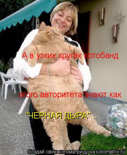 А в узких кругах котобанд этого авторитета знают как "ЧЕРНАЯ ДЫРА"...... Котоматрица: А в узких кругах котобанд этого авторитета знают как "ЧЕРНАЯ ДЫРА"...