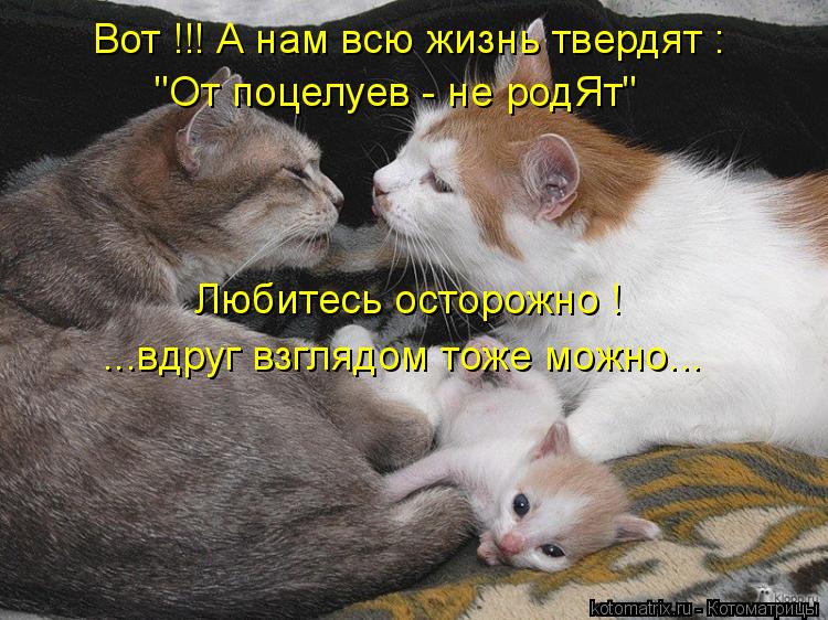 Вот !!! А нам всю жизнь твердят : "От поцелуев - не родЯт" Любитесь осторожно ! ...вдруг взглядом тож... Котоматрица: Вот !!! А нам всю жизнь твердят : "От поцелуев - не родЯт" Любитесь осторожно ! ...вдруг взглядом тоже можно...
