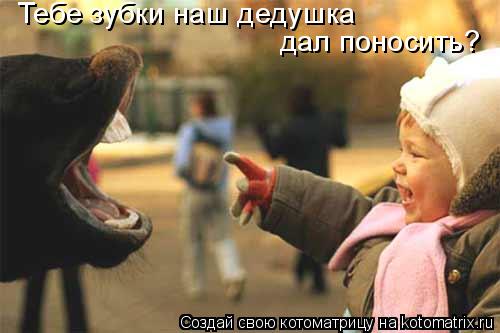 Тебе зубки наш дедушка дал поносить?... Котоматрица: Тебе зубки наш дедушка дал поносить?