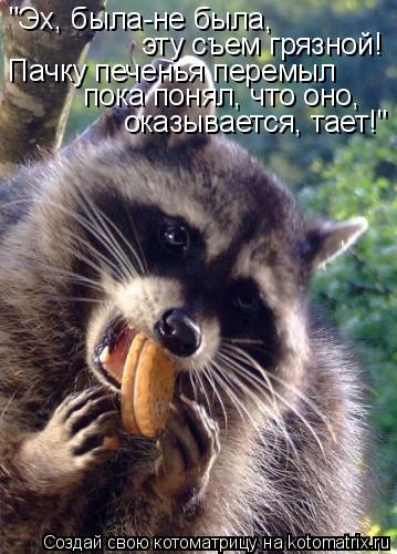 "Эх, была-не была, эту съем грязной! Пачку печенья перемыл пока понял, что оно, оказывается, тает!"... Котоматрица: "Эх, была-не была, эту съем грязной! Пачку печенья перемыл пока понял, что оно, оказывается, тает!"