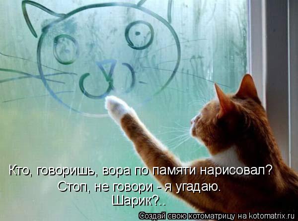 Стоп, не говори - я угадаю. Шарик?.. Кто, говоришь, вора по памяти нарисовал?... Котоматрица: Стоп, не говори - я угадаю. Шарик?.. Кто, говоришь, вора по памяти нарисовал?