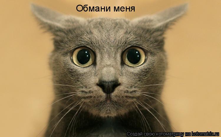 Обмани меня... Котоматрица: Обмани меня