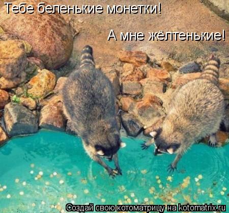 Тебе беленькие монетки! А мне жёлтенькие!... Котоматрица: Тебе беленькие монетки! А мне жёлтенькие!